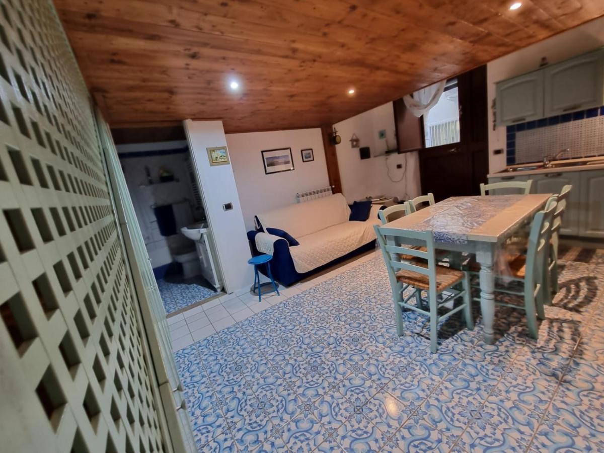 L'ancorotto Azzurro *